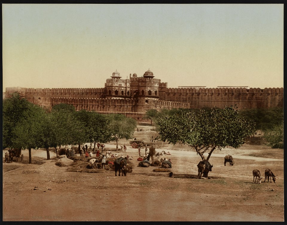 Agra. The Fort. LCCN2017658156