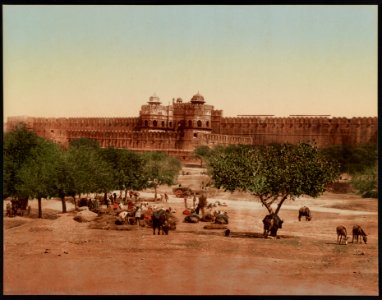 Agra. The Fort. LCCN2017658156