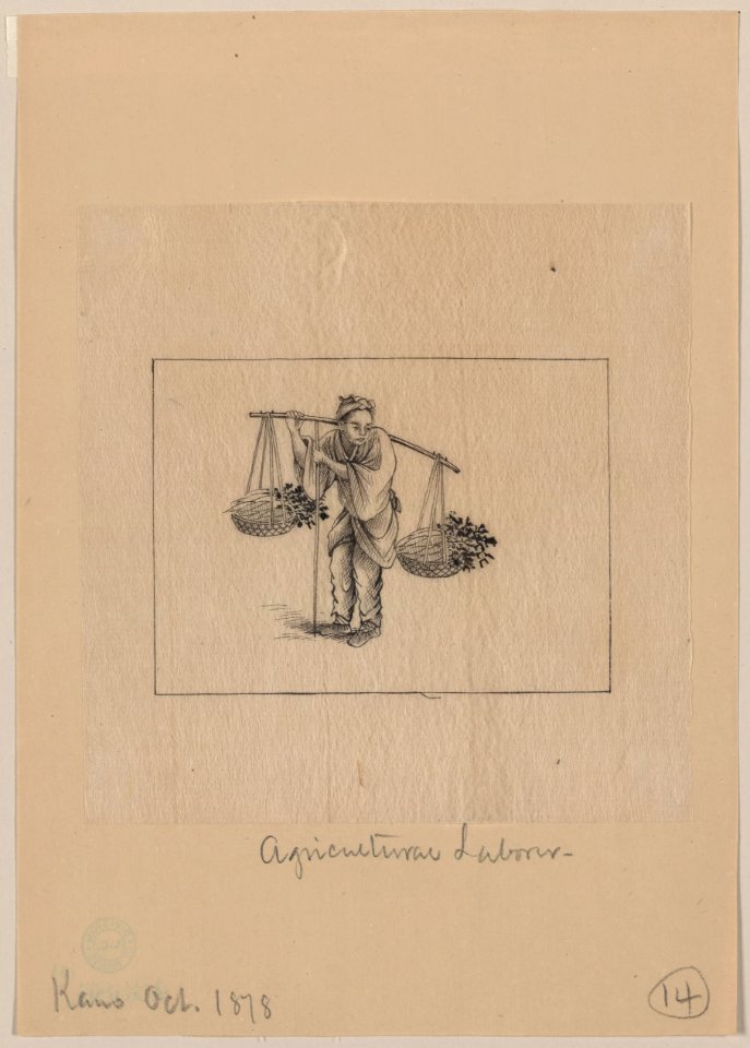 Agricultural laborer LCCN2009630041