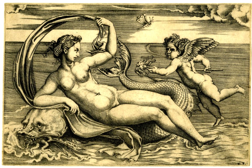 Agostino Veneziano - Venus reclining on a dolphin upon whose head she rests her right arm, H,7.26