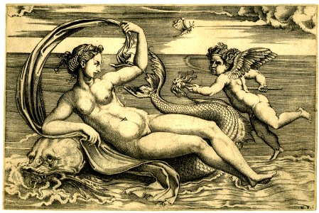 Agostino Veneziano - Venus reclining on a dolphin upon whose head she rests her right arm, H,7.26