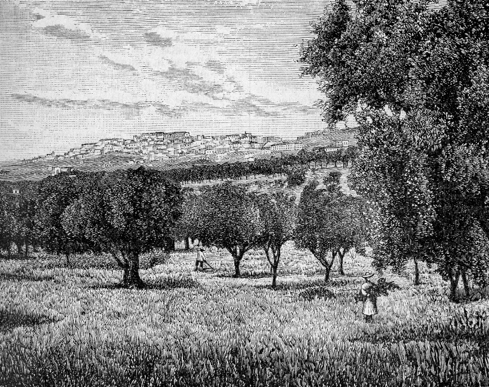 Agrigento – Nella valle dei Templi