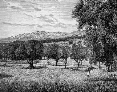 Agrigento – Nella valle dei Templi