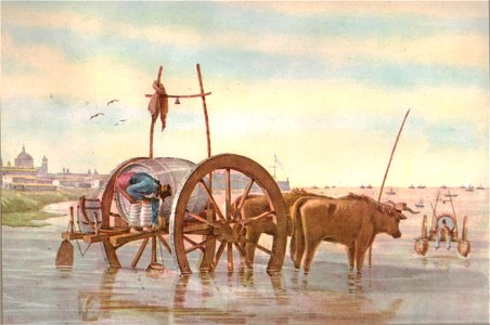 Aguatero - Buenos Aires, según Pellegrini