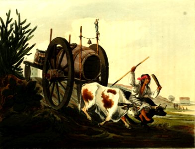 Aguatero (water cart), Buenos Aires