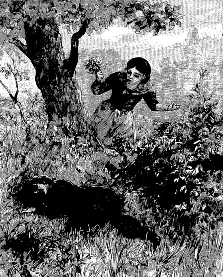 Aimard - Les invisibles de Paris (I-337)