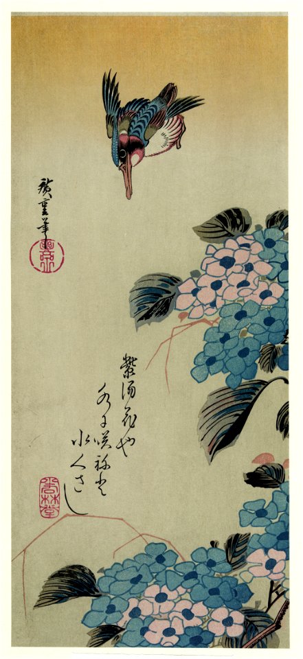 Ajisai ni Kawasemi