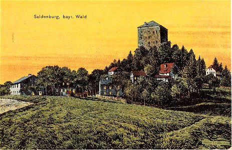 AK - Saldenburg - Waldlaterne - Felle - 1911