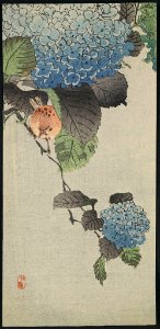Ajisai ni shōkin LCCN2009615425