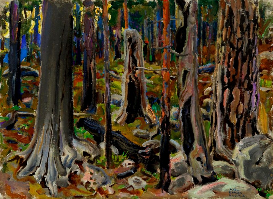 Akseli Gallen-Kallela - Burnt forest - Reitz Foundation