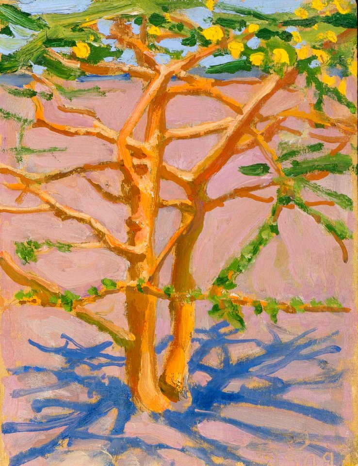 Akseli Gallen-Kallela - Acacia on the Savannah - A III 2172 - Finnish National Gallery
