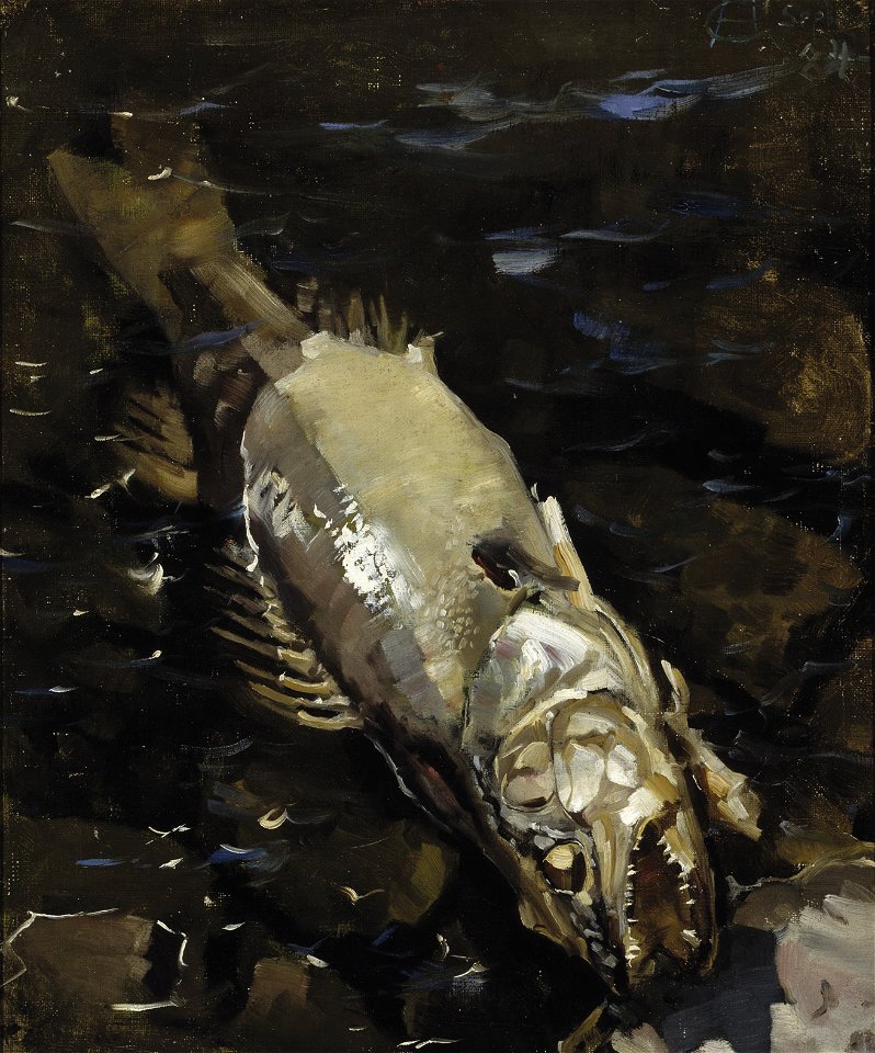 Akseli Gallen-Kallela - Mädäntynyt kuha (1884)