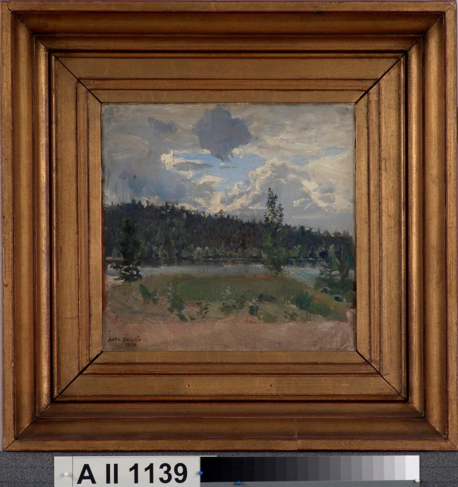 Akseli Gallen-Kallela - Light behind the Clouds - A II 1139 - Finnish National Gallery