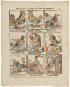 Al dees vogels die gy hier ziet -- En zingen noch en kreayen niet