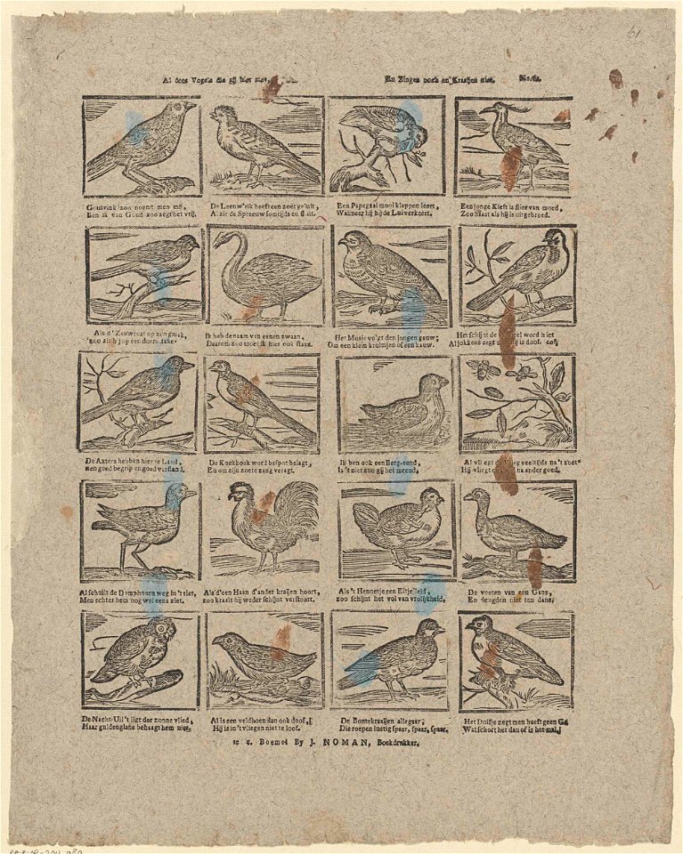 Al dees vogels die gij hier ziet, - En zingen noch en kraaijen niet