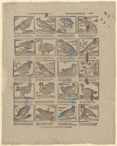 Al dees vogels die gij hier ziet, - En zingen noch en kraaijen niet