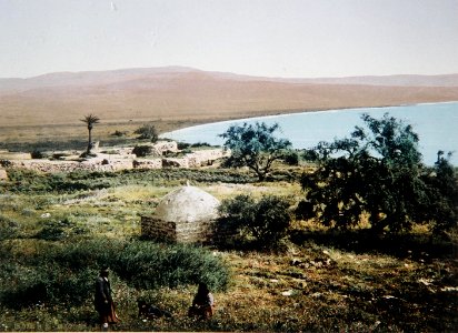 Al-Majdal photographed by Felix Bonfils
