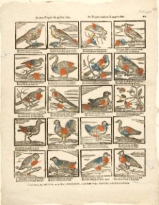Al dees vogels die gy hier ziet, En zingen noch en kraayen niet