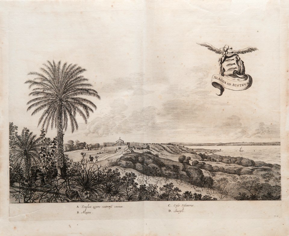 Alagoa ad Austrum, da Coleção Brasiliana Iconográfica