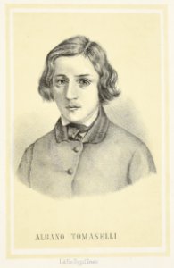 Albano Tomaselli, Trento, Giovanni Zippel, 1883