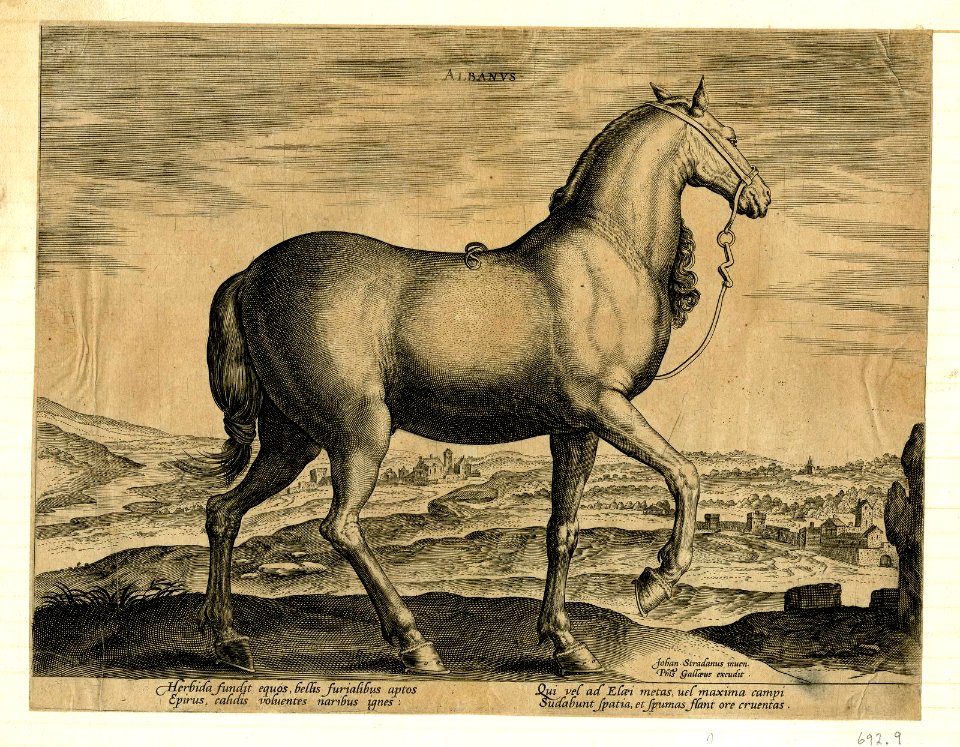 Albanus (BM 1870,0514.1249)