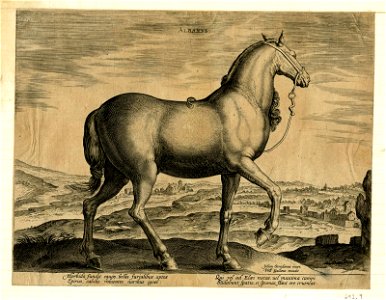 Albanus (BM 1870,0514.1249)