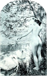 Albert Aublet Matin