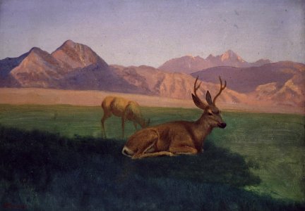 Albert Bierstadt - Deer. Free illustration for personal and commercial use.