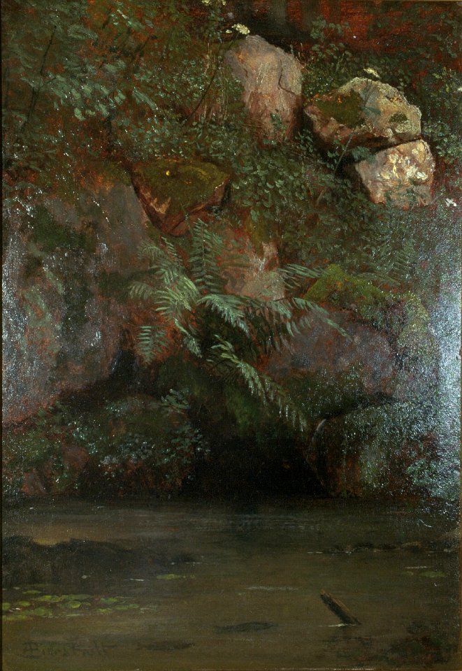 Albert Bierstadt - Ferns and Rocks on an Embankment (1869)