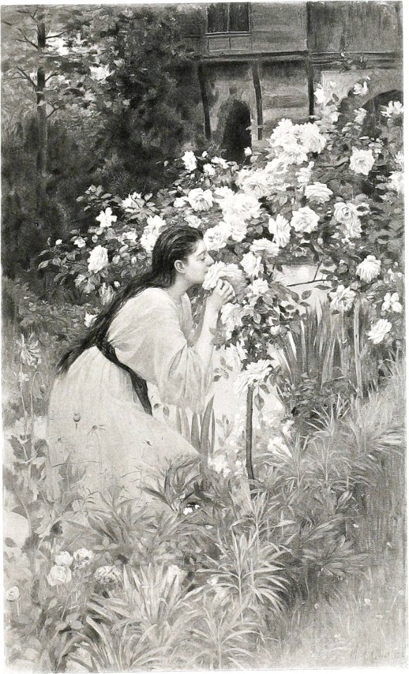 Albert Aublet Tea Roses
