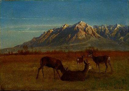 Albert Bierstadt - Deer in Mountain Home. Free illustration for personal and commercial use.