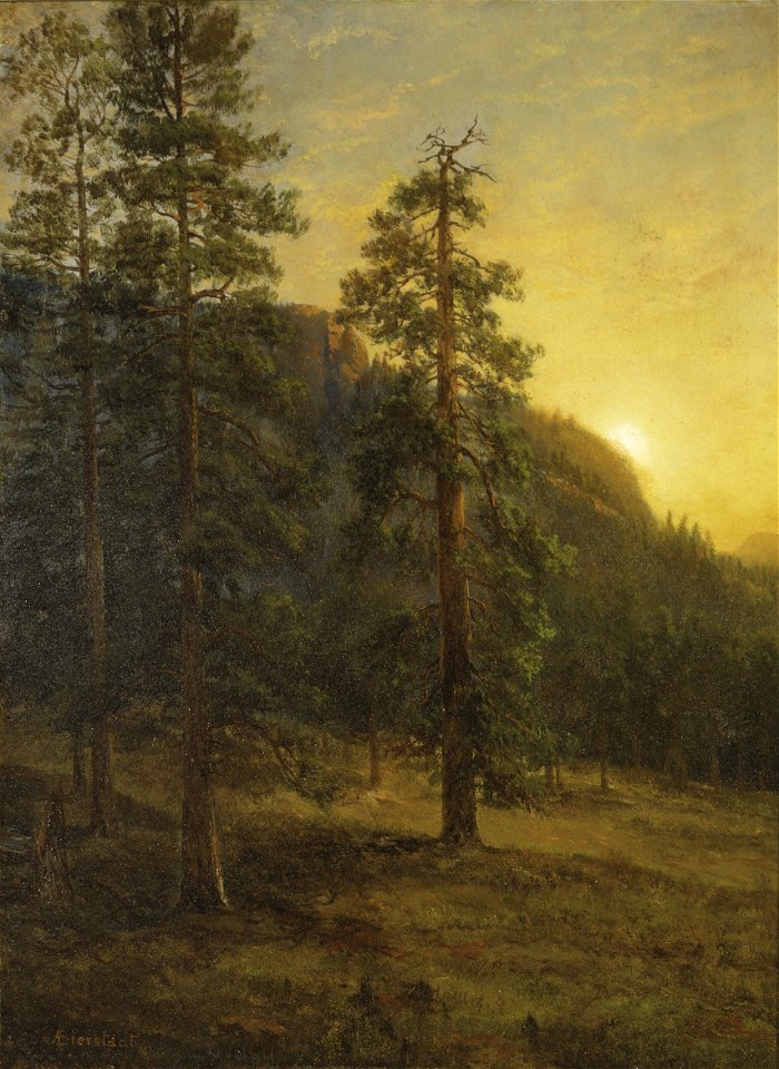 Albert Bierstadt - California Redwoods - 735-1991 - Saint Louis Art Museum