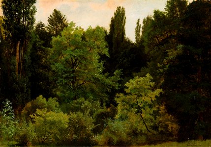 Albert Bierstadt - Deep in the Rockies