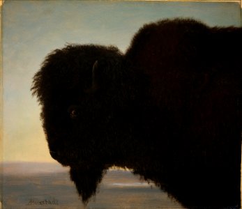 Albert Bierstadt - Buffalo Head
