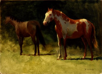 Albert Bierstadt - Two Horses. Free illustration for personal and commercial use.