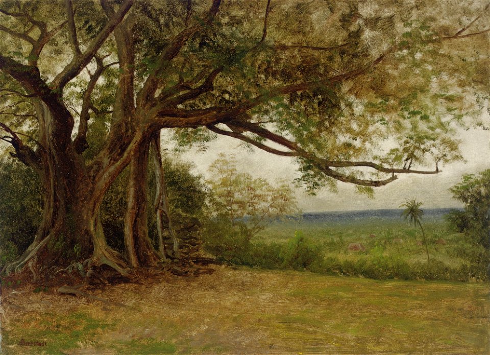 Albert Bierstadt - Study for The Landing of Columbus
