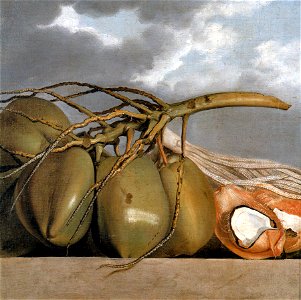 Albert Eckhout - Cocos