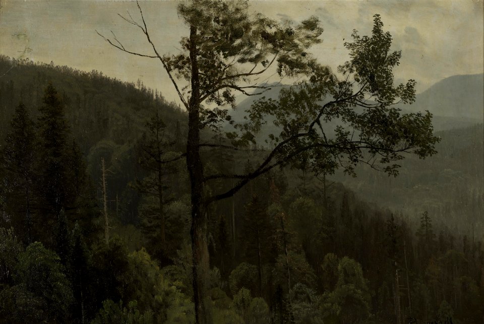 Albert Bierstadt - Tree covered mountains