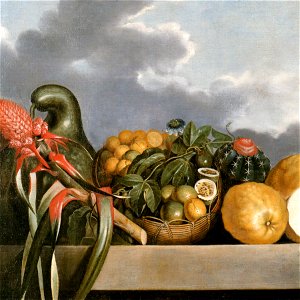 Albert Eckhout - Cabaça, Frutas Cítricas e Cacto