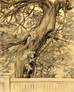 Albert Edelfelt - Vanha lehmus - A III 2018 - Finnish National Gallery