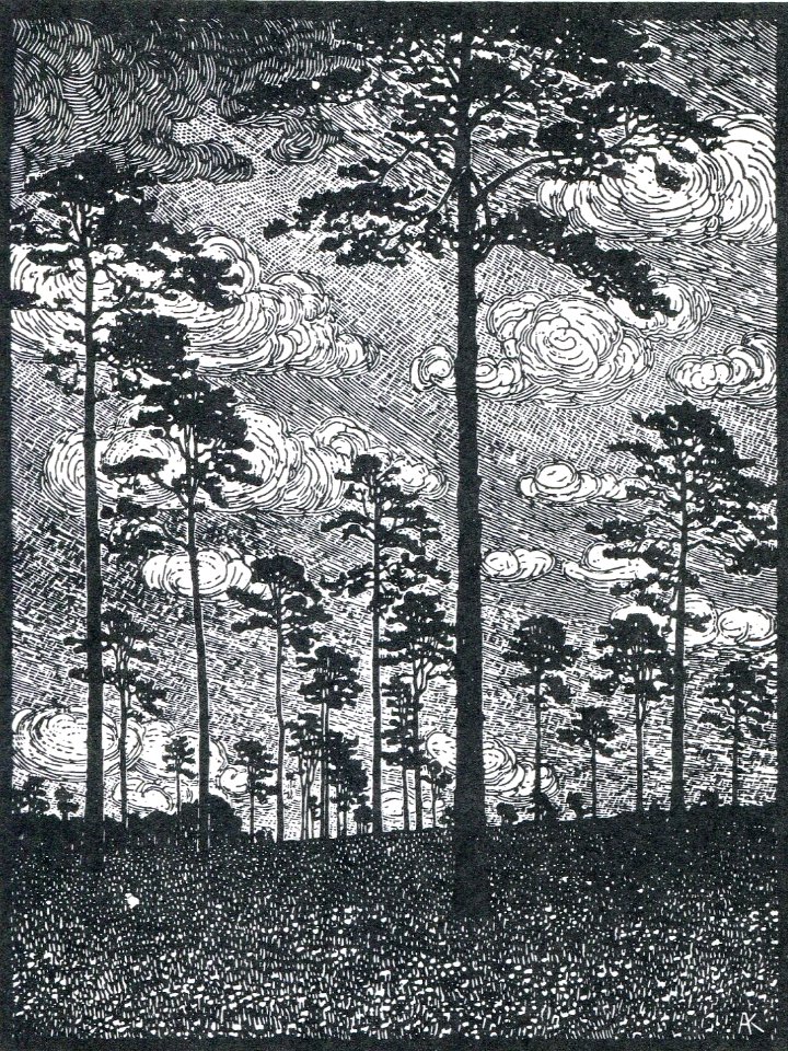 Albert König Kiefern