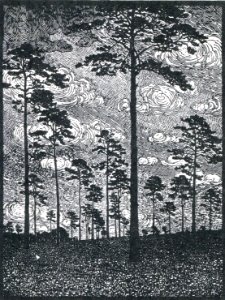 Albert König Kiefern
