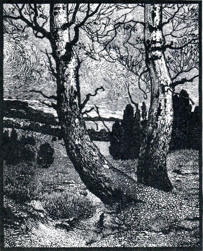 Albert König Birken im Herbst