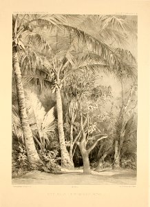 Atlas pittoresque pl 041