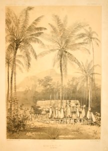 Atlas pittoresque pl 056