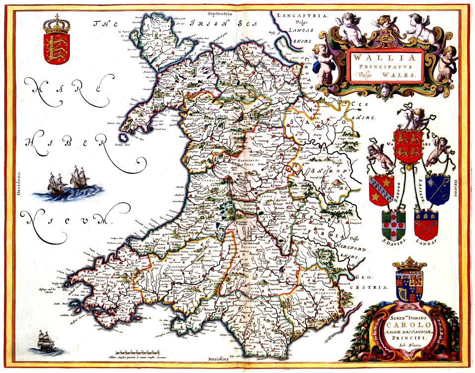 Atlas Van der Hagen-KW1049B11 031-WALLIA PRINCIPATUS Vulgo WALES.