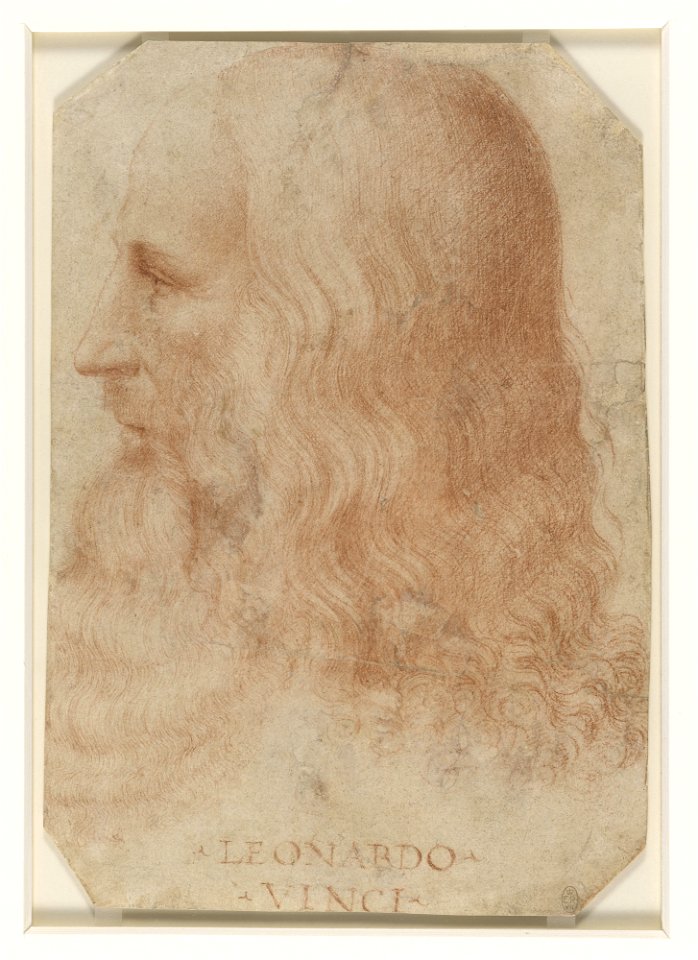 Attributed to Francesco Melzi - RCIN 912726, A portrait of Leonardo c.1515-18