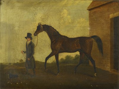 Attributed to Edwin Cooper (1785-1833) - A Racehorse and Groom in a Landscape - RCIN 406446 - Royal Collection