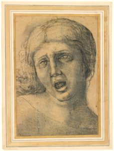 Attributed to Correggio - Head of a Woman Crying Out, IV, 30