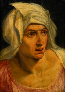 Attributed to Frans Floris the Elder Head of a Woman